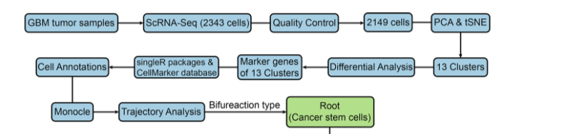 image-20201107112000196