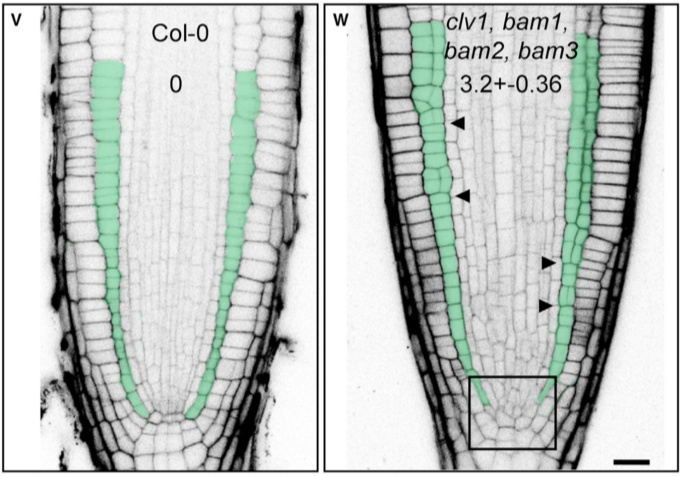 image-20201014145005659
