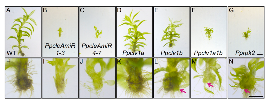 image-20201014152657690