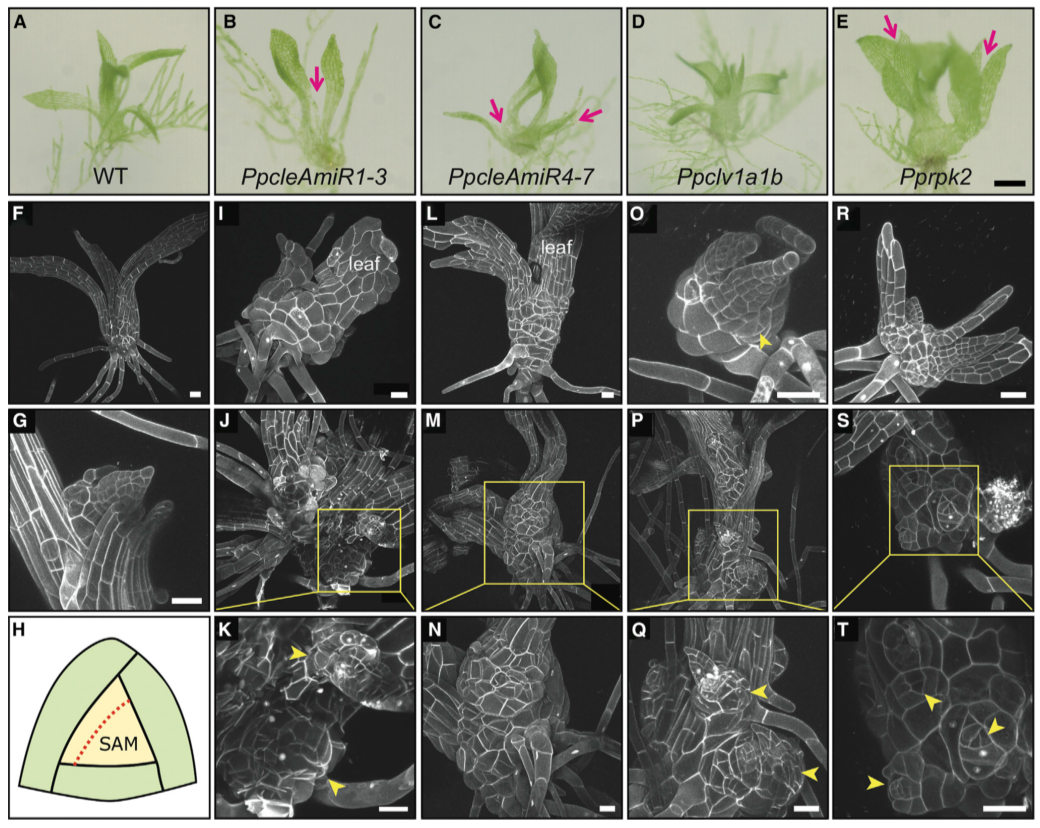 image-20201014153109371