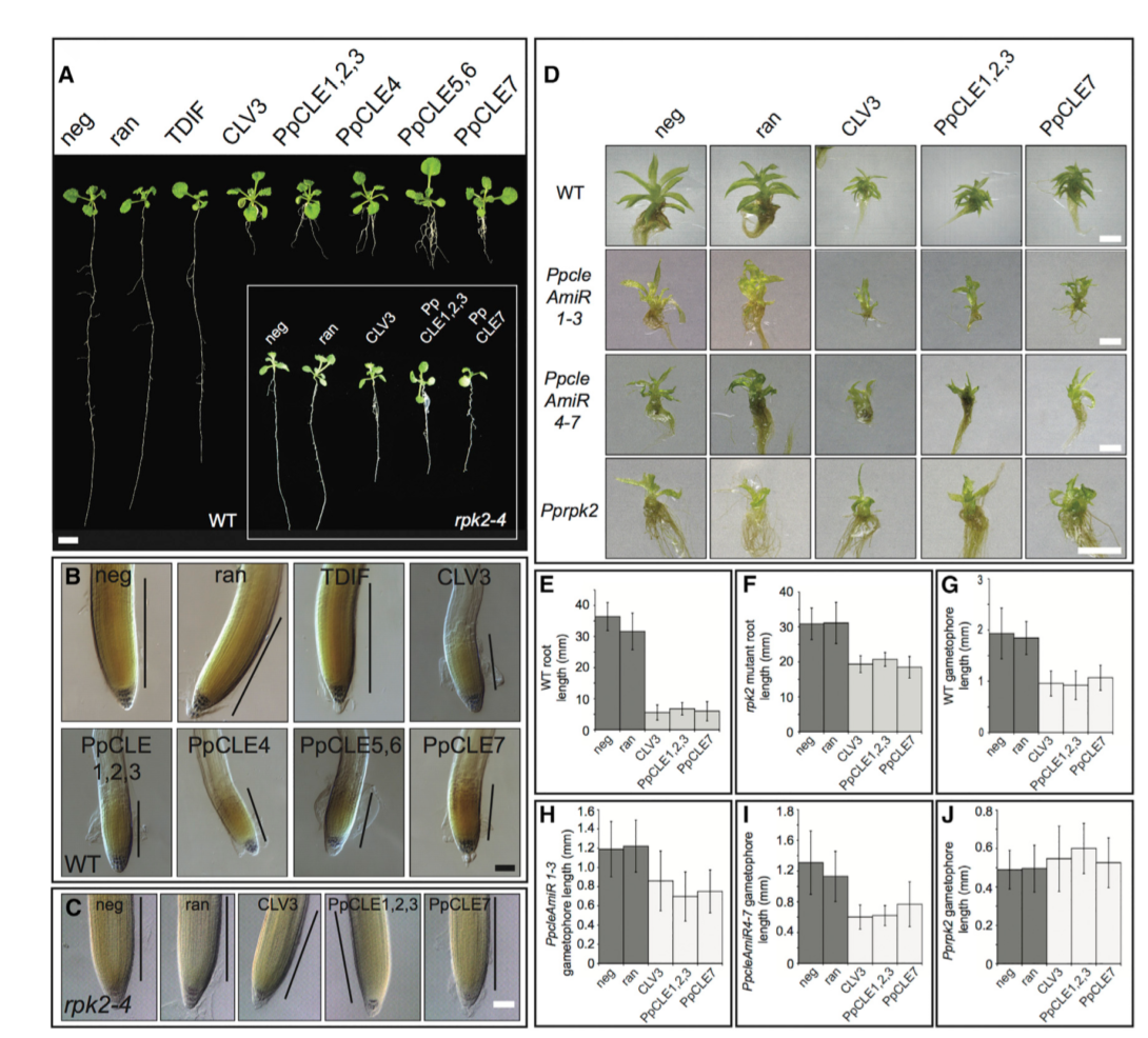 image-20201014200256096