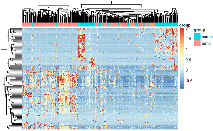 image-20201123104427296