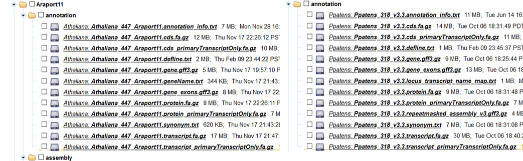 image-20201124191831469