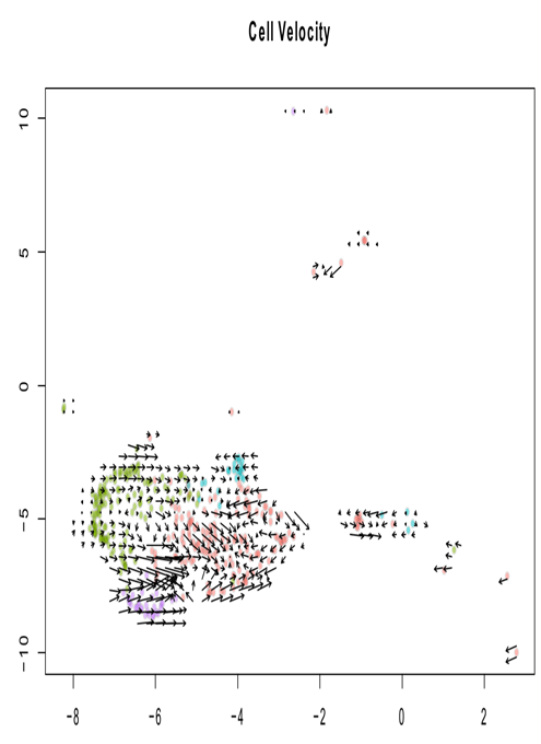 image-20201126163423850