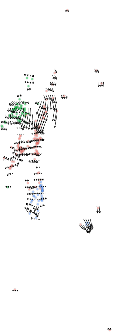 image-20201126164447258