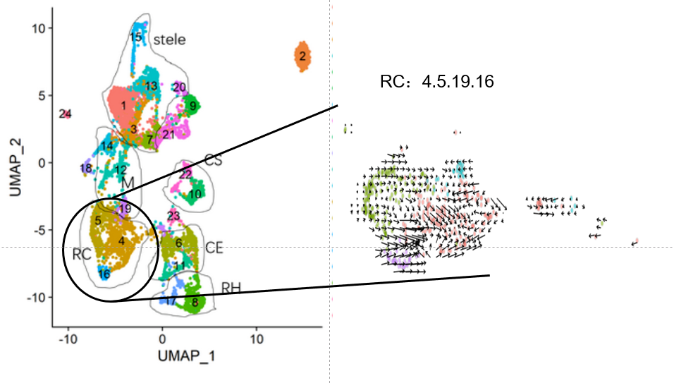 image-20201126165138374