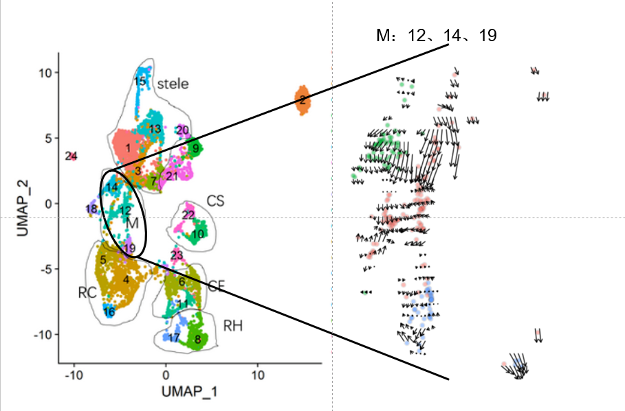 image-20201126165159845