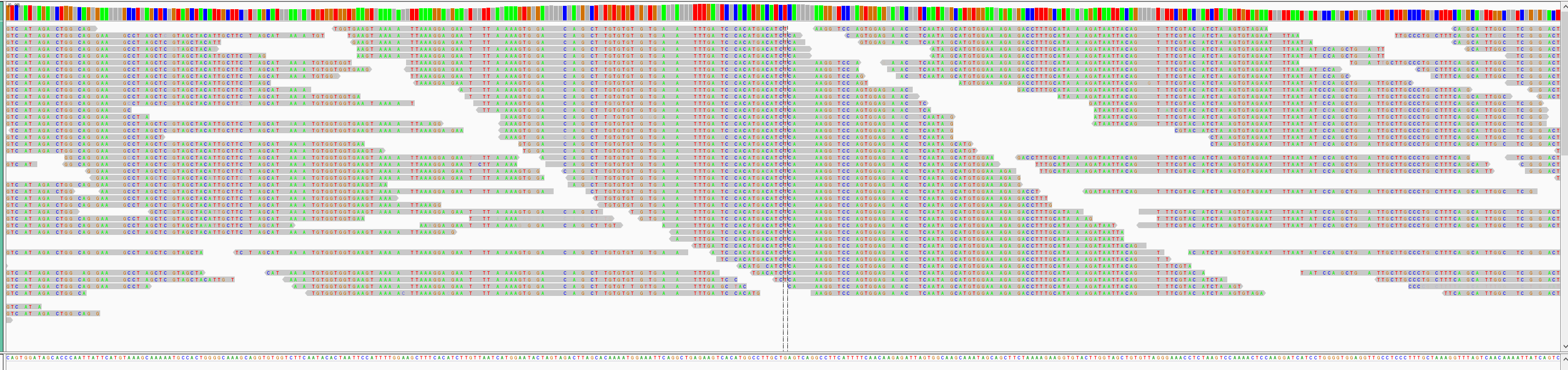 image-20201228164142409