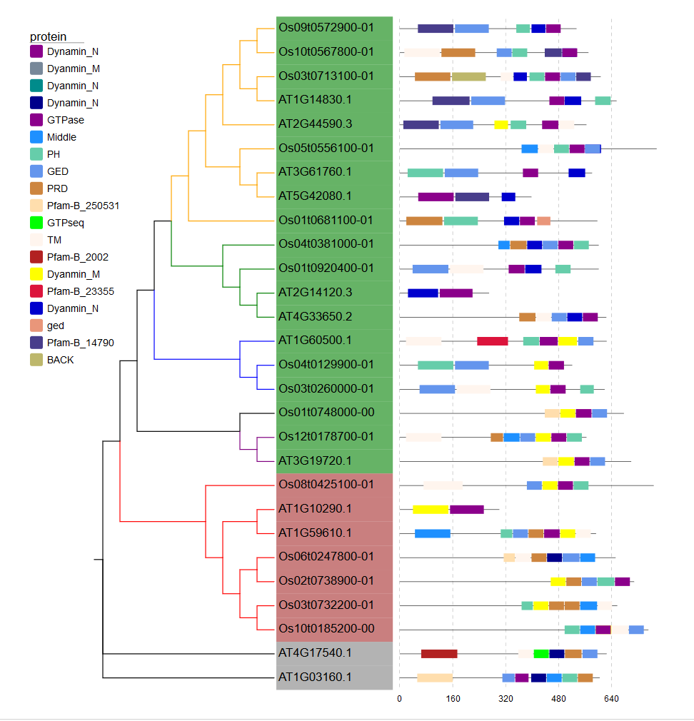 image-20200908205730949