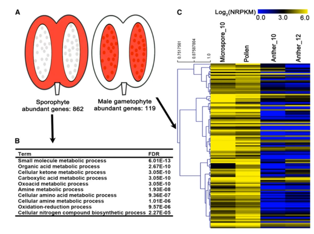 image-20200801155205441