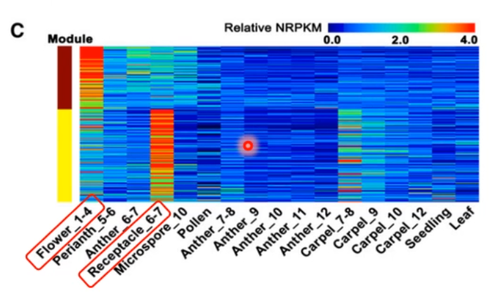 image-20200801162040086