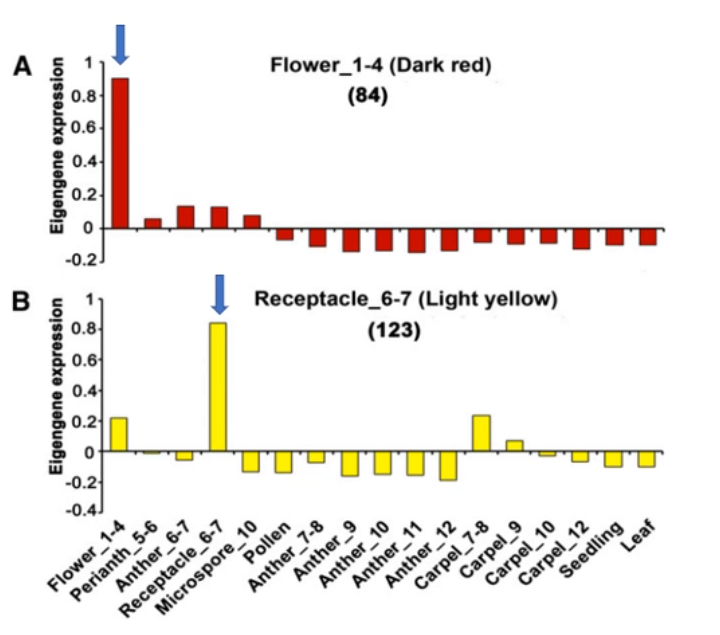 image-20200801162103182