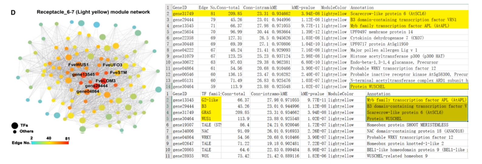 image-20200801164643103