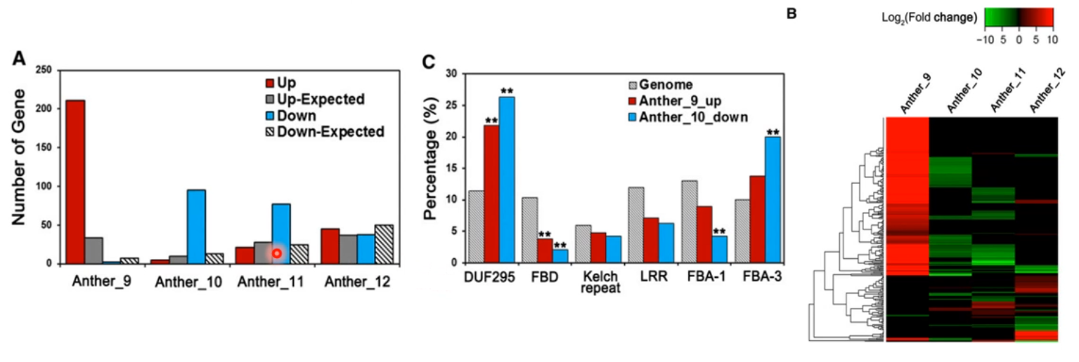 image-20200801165528029