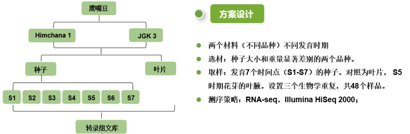 image-20200801174553727