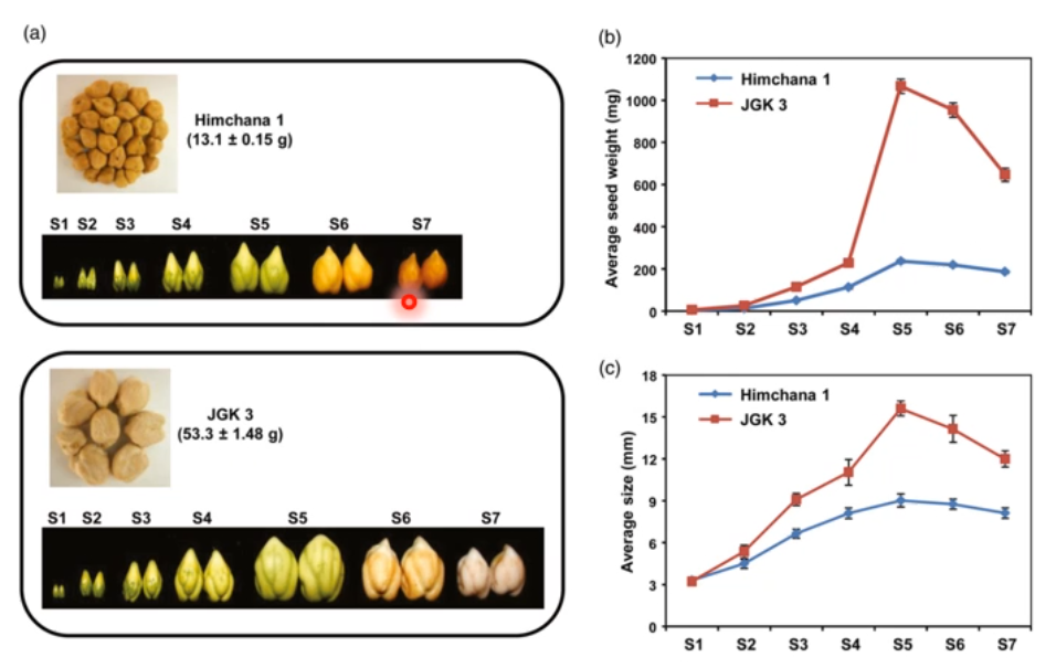 image-20200801180111574