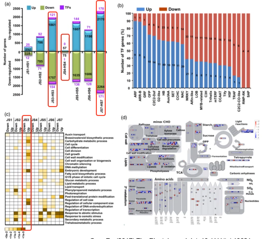 image-20200801184646711