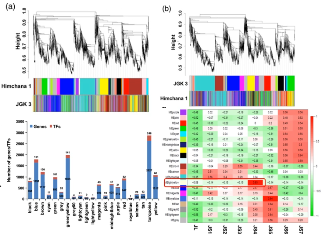 image-20200802115002426