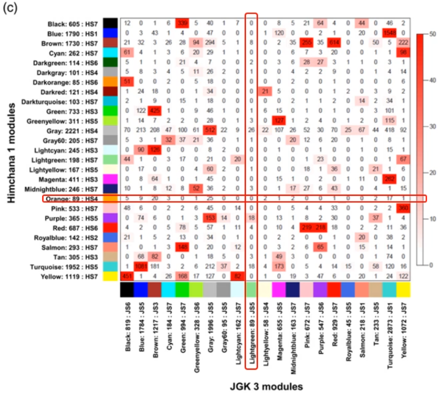 image-20200802120019172