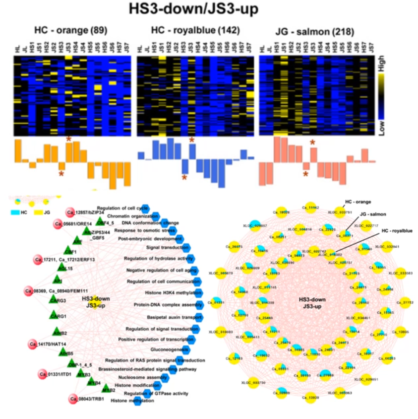 image-20200802121240848