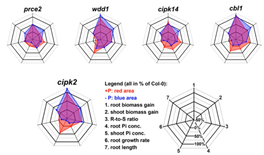 image-20200802124626007