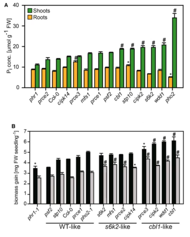 image-20200802124651555