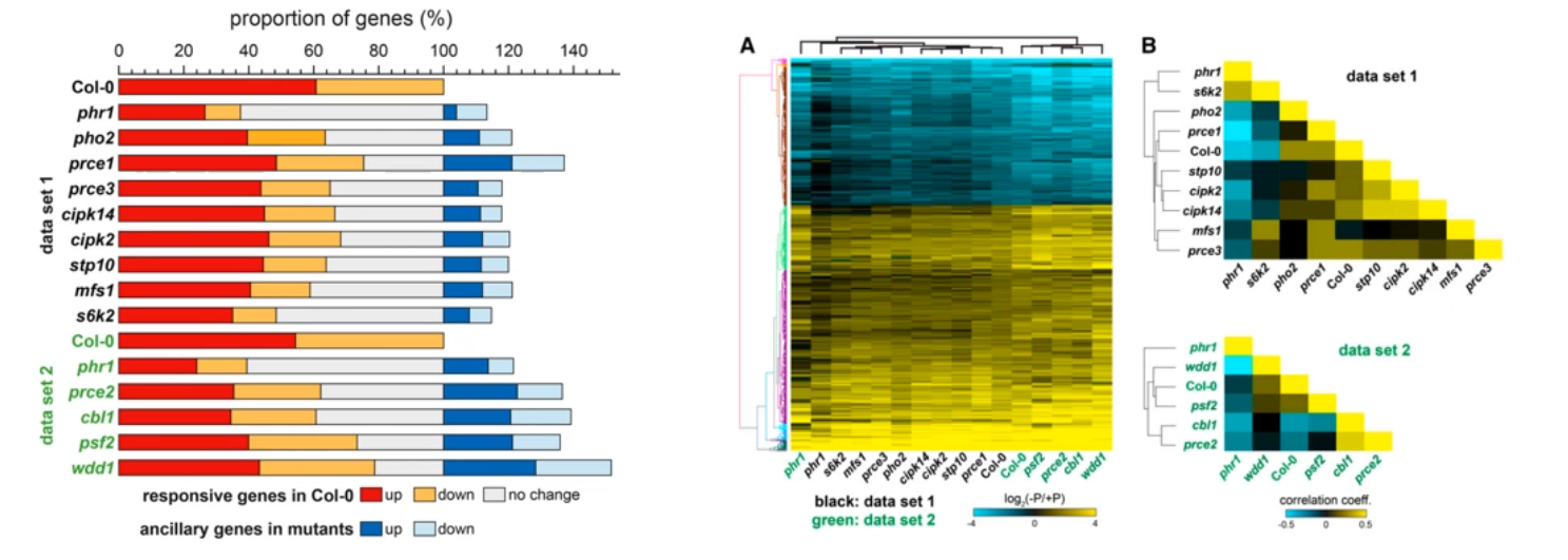 image-20200802131722765
